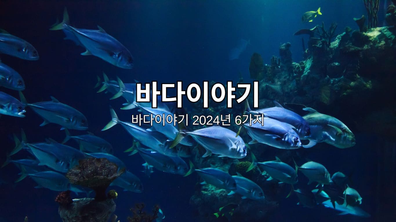 바다이야기 2024년 6가지